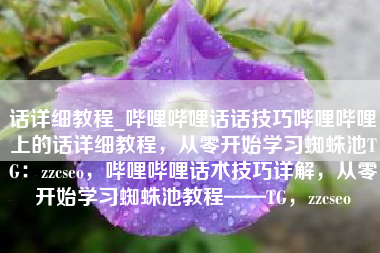 哔哩哔哩话术技巧详解，从零开始学习与蜘蛛池TG的完美结合