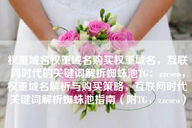 权重域名权重域名购买权重域名，互联网时代的关键词解析蜘蛛池TG：zzcseo，权重域名解析与购买策略，互联网时代关键词解析蜘蛛池指南（附TG，zzcseo）