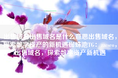 出售域名出售域名是什么意思出售域名，探索数字资产的新机遇蜘蛛池TG：zzcseo，出售域名，探索数字资产新机遇