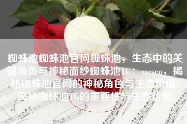 蜘蛛池蜘蛛池官网蜘蛛池，生态中的关键角色与神秘面纱蜘蛛池TG：zzcseo，揭秘蜘蛛池官网的神秘角色与生态价值，揭秘蜘蛛池TG的重要性与生态价值