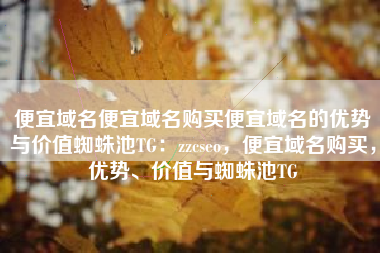 便宜域名便宜域名购买便宜域名的优势与价值蜘蛛池TG：zzcseo，便宜域名购买，优势、价值与蜘蛛池TG