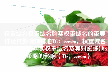权重域名权重域名购买权重域名的重要性及其影响蜘蛛池TG：zzcseo，权重域名的重要性，购买权重域名及其对蜘蛛池SEO策略的影响（TG，zzcseo）