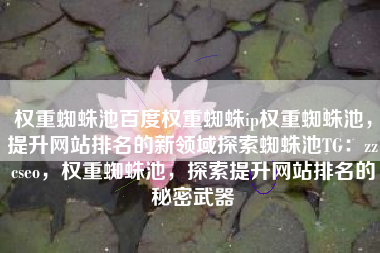 权重蜘蛛池百度权重蜘蛛ip权重蜘蛛池，提升网站排名的新领域探索蜘蛛池TG：zzcseo，权重蜘蛛池，探索提升网站排名的秘密武器
