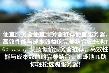 便宜服务器便宜服务器推荐便宜服务器，高效性能与成本效益的完美结合蜘蛛池TG：zzcseo，优质低价服务器推荐，高效性能与成本效益的完美结合，蜘蛛池TG助你轻松选购服务器！