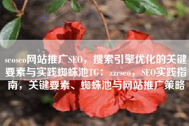 seoseo网站推广SEO，搜索引擎优化的关键要素与实践蜘蛛池TG：zzcseo，SEO实践指南，关键要素、蜘蛛池与网站推广策略