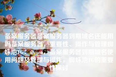 备案服务器备案服务器到期域名还能用吗备案服务器，重要性、操作与管理蜘蛛池TG：zzcseo，备案服务器到期域名使用问题及管理与操作，蜘蛛池TG的重要性探讨