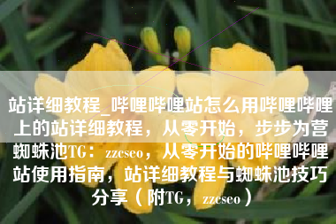 站详细教程_哔哩哔哩站怎么用哔哩哔哩上的站详细教程，从零开始，步步为营蜘蛛池TG：zzcseo，从零开始的哔哩哔哩站使用指南，站详细教程与蜘蛛池技巧分享（附TG，zzcseo）