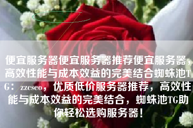 便宜服务器便宜服务器推荐便宜服务器，高效性能与成本效益的完美结合蜘蛛池TG：zzcseo，优质低价服务器推荐，高效性能与成本效益的完美结合，蜘蛛池TG助你轻松选购服务器！