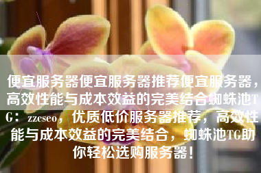 便宜服务器便宜服务器推荐便宜服务器，高效性能与成本效益的完美结合蜘蛛池TG：zzcseo，优质低价服务器推荐，高效性能与成本效益的完美结合，蜘蛛池TG助你轻松选购服务器！