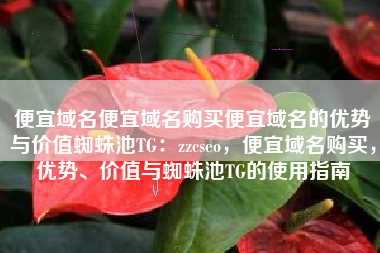 便宜域名便宜域名购买便宜域名的优势与价值蜘蛛池TG：zzcseo，便宜域名购买，优势、价值与蜘蛛池TG的使用指南