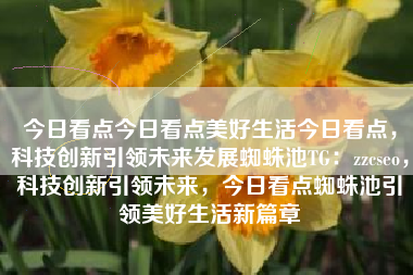今日看点今日看点美好生活今日看点，科技创新引领未来发展蜘蛛池TG：zzcseo，科技创新引领未来，今日看点蜘蛛池引领美好生活新篇章