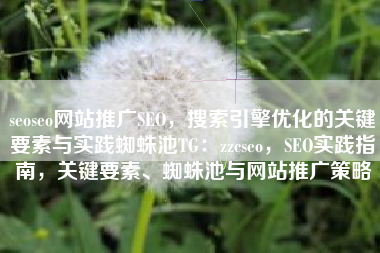 seoseo网站推广SEO，搜索引擎优化的关键要素与实践蜘蛛池TG：zzcseo，SEO实践指南，关键要素、蜘蛛池与网站推广策略