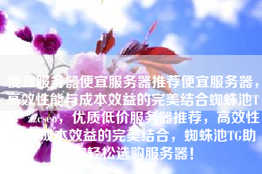 便宜服务器便宜服务器推荐便宜服务器，高效性能与成本效益的完美结合蜘蛛池TG：zzcseo，优质低价服务器推荐，高效性能与成本效益的完美结合，蜘蛛池TG助你轻松选购服务器！