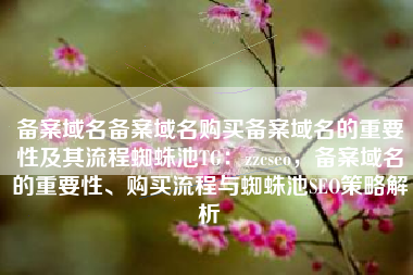 备案域名备案域名购买备案域名的重要性及其流程蜘蛛池TG：zzcseo，备案域名的重要性、购买流程与蜘蛛池SEO策略解析