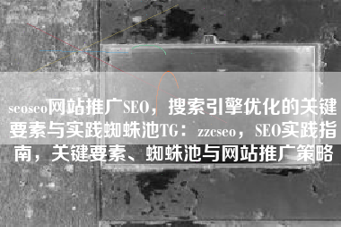 seoseo网站推广SEO,搜索引擎优化的关键要素与实践蜘蛛池TG:zzcseo,SEO实践指南,关键要素、蜘蛛池与网站推广策略 seoseo网站推广SEO,搜索引擎优化的关键要素与实践蜘蛛池TG:zzcseo,SEO实践指南,关键要素、蜘蛛池与网站推广策略