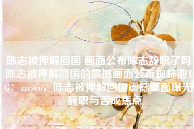 陈志被押解回国 画面公布陈志辞职了吗陈志被押解回国的震撼画面公布蜘蛛池TG：zzcseo，陈志被押解回国震撼画面曝光，辞职与否成焦点