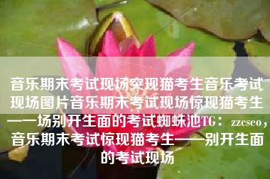 音乐期末考试现场突现猫考生音乐考试现场图片音乐期末考试现场惊现猫考生—一场别开生面的考试蜘蛛池TG:zzcseo,音乐期末考试惊现猫考生——别开生面的考试现场 音乐期末考试现场突现猫考生音乐考试现场图片音乐期末考试现场惊现猫考生—一场别开生面的考试蜘蛛池TG:zzcseo,音乐期末考试惊现猫考生——别开生面的考试现场