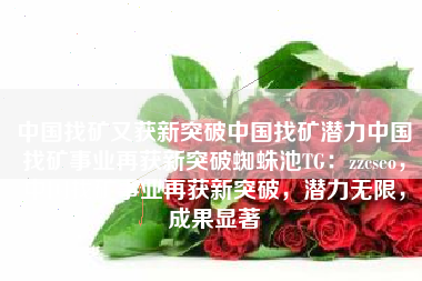 中国找矿又获新突破中国找矿潜力中国找矿事业再获新突破蜘蛛池TG：zzcseo，中国找矿事业再获新突破，潜力无限，成果显著
