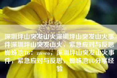 深圳坪山突发山火深圳坪山突发山火事件深圳坪山突发山火，紧急应对与反思蜘蛛池TG：zzcseo，深圳坪山突发山火事件，紧急应对与反思，蜘蛛池TG分享经验