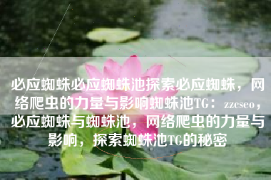 必应蜘蛛必应蜘蛛池探索必应蜘蛛，网络爬虫的力量与影响蜘蛛池TG：zzcseo，必应蜘蛛与蜘蛛池，网络爬虫的力量与影响，探索蜘蛛池TG的秘密