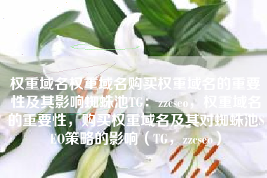 权重域名权重域名购买权重域名的重要性及其影响蜘蛛池TG:zzcseo,权重域名的重要性,购买权重域名及其对蜘蛛池SEO策略的影响(TG,zzcseo) 权重域名权重域名购买权重域名的重要性及其影响蜘蛛池TG:zzcseo,权重域名的重要性,购买权重域名及其对蜘蛛池SEO策略的影响(TG,zzcseo)
