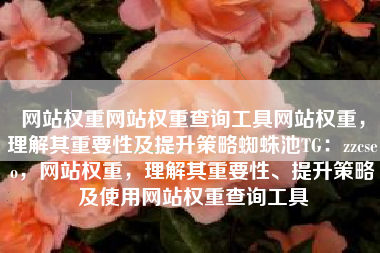 网站权重网站权重查询工具网站权重,理解其重要性及提升策略蜘蛛池TG:zzcseo,网站权重,理解其重要性、提升策略及使用网站权重查询工具 网站权重网站权重查询工具网站权重,理解其重要性及提升策略蜘蛛池TG:zzcseo,网站权重,理解其重要性、提升策略及使用网站权重查询工具