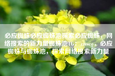 必应蜘蛛必应蜘蛛池探索必应蜘蛛，网络搜索的新力量蜘蛛池TG：zzcseo，必应蜘蛛与蜘蛛池，探索网络搜索新力量