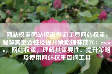 网站权重网站权重查询工具网站权重，理解其重要性及提升策略蜘蛛池TG：zzcseo，网站权重，理解其重要性、提升策略及使用网站权重查询工具