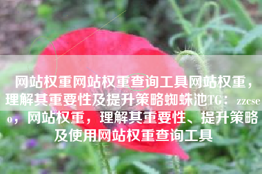 网站权重网站权重查询工具网站权重,理解其重要性及提升策略蜘蛛池TG:zzcseo,网站权重,理解其重要性、提升策略及使用网站权重查询工具 网站权重网站权重查询工具网站权重,理解其重要性及提升策略蜘蛛池TG:zzcseo,网站权重,理解其重要性、提升策略及使用网站权重查询工具