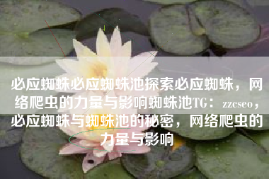 必应蜘蛛必应蜘蛛池探索必应蜘蛛，网络爬虫的力量与影响蜘蛛池TG：zzcseo，必应蜘蛛与蜘蛛池的秘密，网络爬虫的力量与影响