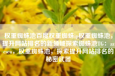 权重蜘蛛池百度权重蜘蛛ip权重蜘蛛池，提升网站排名的新领域探索蜘蛛池TG：zzcseo，权重蜘蛛池，探索提升网站排名的秘密武器