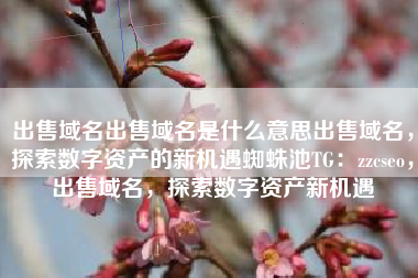 出售域名出售域名是什么意思出售域名，探索数字资产的新机遇蜘蛛池TG：zzcseo，出售域名，探索数字资产新机遇