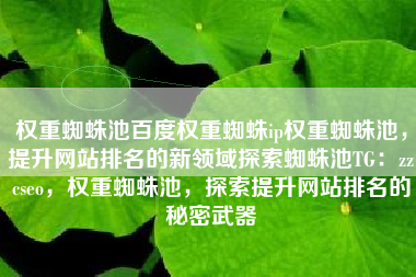 权重蜘蛛池百度权重蜘蛛ip权重蜘蛛池，提升网站排名的新领域探索蜘蛛池TG：zzcseo，权重蜘蛛池，探索提升网站排名的秘密武器