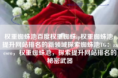 权重蜘蛛池百度权重蜘蛛ip权重蜘蛛池,提升网站排名的新领域探索蜘蛛池TG:zzcseo,权重蜘蛛池,探索提升网站排名的秘密武器 权重蜘蛛池百度权重蜘蛛ip权重蜘蛛池,提升网站排名的新领域探索蜘蛛池TG:zzcseo,权重蜘蛛池,探索提升网站排名的秘密武器