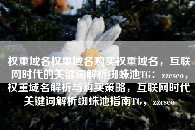 权重域名权重域名购买权重域名,互联网时代的关键词解析蜘蛛池TG:zzcseo,权重域名解析与购买策略,互联网时代关键词解析蜘蛛池指南TG,zzcseo 权重域名权重域名购买权重域名,互联网时代的关键词解析蜘蛛池TG:zzcseo,权重域名解析与购买策略,互联网时代关键词解析蜘蛛池指南TG,zzcseo