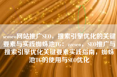 seoseo网站推广SEO，搜索引擎优化的关键要素与实践蜘蛛池TG：zzcseo，SEO推广与搜索引擎优化关键要素实践指南，蜘蛛池TG的使用与SEO优化