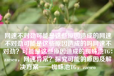 网速不对劲可能是这些原因造成的网速不对劲可能是这些原因造成的吗网速不对劲？可能是这些原因造成的蜘蛛池TG：zzcseo，网速异常？探究可能的原因及解决方案——蜘蛛池TG，zzcseo