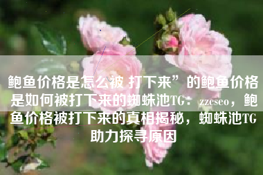 鲍鱼价格是怎么被 打下来”的鲍鱼价格是如何被打下来的蜘蛛池TG：zzcseo，鲍鱼价格被打下来的真相揭秘，蜘蛛池TG助力探寻原因