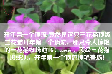 开年第一个顶流 竟然是这只三花猫顶级三花猫开年第一个顶流,那只令人惊艳的三花猫蜘蛛池TG:zzcseo,顶级三花猫蜘蛛池,开年第一个顶流惊艳登场! 开年第一个顶流 竟然是这只三花猫顶级三花猫开年第一个顶流,那只令人惊艳的三花猫蜘蛛池TG:zzcseo,顶级三花猫蜘蛛池,开年第一个顶流惊艳登场!