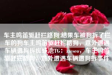 车主鸣笛驱赶拦路狗 结果车被狗拆了拦车的狗车主鸣笛驱赶拦路狗，意外遭遇车辆遭狗拆蜘蛛池TG：zzcseo，车主鸣笛驱赶拦路狗，意外遭遇车辆遭狗拆事件