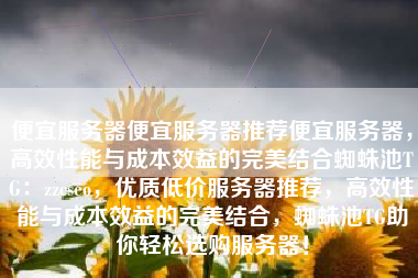 便宜服务器便宜服务器推荐便宜服务器，高效性能与成本效益的完美结合蜘蛛池TG：zzcseo，优质低价服务器推荐，高效性能与成本效益的完美结合，蜘蛛池TG助你轻松选购服务器！