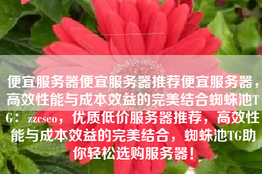 便宜服务器便宜服务器推荐便宜服务器,高效性能与成本效益的完美结合蜘蛛池TG:zzcseo,优质低价服务器推荐,高效性能与成本效益的完美结合,蜘蛛池TG助你轻松选购服务器! 便宜服务器便宜服务器推荐便宜服务器,高效性能与成本效益的完美结合蜘蛛池TG:zzcseo,优质低价服务器推荐,高效性能与成本效益的完美结合,蜘蛛池TG助你轻松选购服务器!