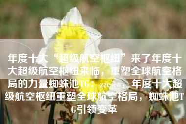 年度十大“超级航空枢纽”来了年度十大超级航空枢纽来临，重塑全球航空格局的力量蜘蛛池TG：zzcseo，年度十大超级航空枢纽重塑全球航空格局，蜘蛛池TG引领变革