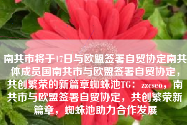 南共市将于17日与欧盟签署自贸协定南共体成员国南共市与欧盟签署自贸协定，共创繁荣的新篇章蜘蛛池TG：zzcseo，南共市与欧盟签署自贸协定，共创繁荣新篇章，蜘蛛池助力合作发展