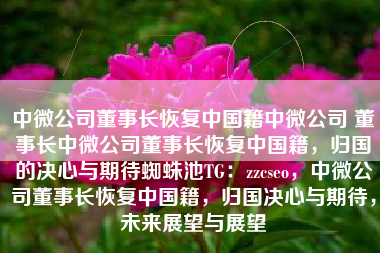 中微公司董事长恢复中国籍中微公司 董事长中微公司董事长恢复中国籍，归国的决心与期待蜘蛛池TG：zzcseo，中微公司董事长恢复中国籍，归国决心与期待，未来展望与展望
