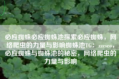 必应蜘蛛必应蜘蛛池探索必应蜘蛛,网络爬虫的力量与影响蜘蛛池TG:zzcseo,必应蜘蛛与蜘蛛池的秘密,网络爬虫的力量与影响 必应蜘蛛必应蜘蛛池探索必应蜘蛛,网络爬虫的力量与影响蜘蛛池TG:zzcseo,必应蜘蛛与蜘蛛池的秘密,网络爬虫的力量与影响