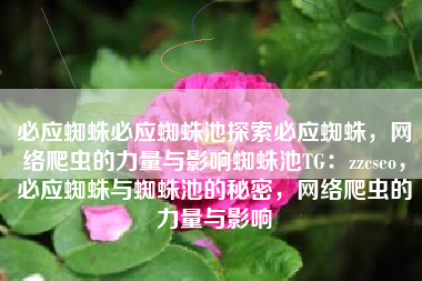 必应蜘蛛必应蜘蛛池探索必应蜘蛛,网络爬虫的力量与影响蜘蛛池TG:zzcseo,必应蜘蛛与蜘蛛池的秘密,网络爬虫的力量与影响 必应蜘蛛必应蜘蛛池探索必应蜘蛛,网络爬虫的力量与影响蜘蛛池TG:zzcseo,必应蜘蛛与蜘蛛池的秘密,网络爬虫的力量与影响