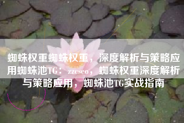 蜘蛛权重蜘蛛权重，深度解析与策略应用蜘蛛池TG：zzcseo，蜘蛛权重深度解析与策略应用，蜘蛛池TG实战指南