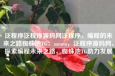 泛程序泛程序源码网泛程序，编程的未来之路蜘蛛池TG：zzcseo，泛程序源码网，探索编程未来之路，蜘蛛池TG助力发展