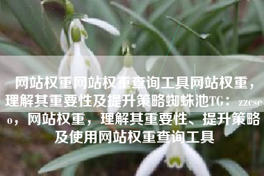 网站权重网站权重查询工具网站权重,理解其重要性及提升策略蜘蛛池TG:zzcseo,网站权重,理解其重要性、提升策略及使用网站权重查询工具 网站权重网站权重查询工具网站权重,理解其重要性及提升策略蜘蛛池TG:zzcseo,网站权重,理解其重要性、提升策略及使用网站权重查询工具